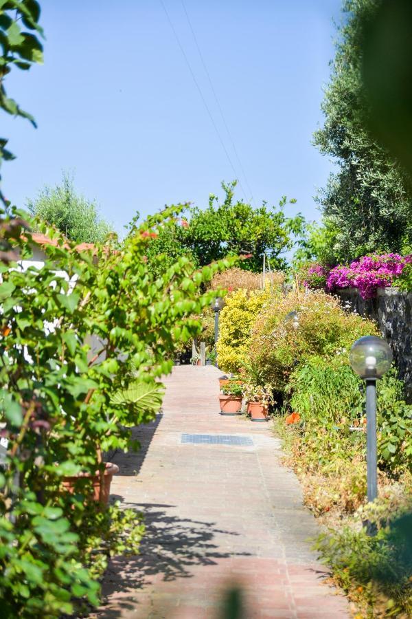 Villa Erade Casamicciola Terme Exteriér fotografie